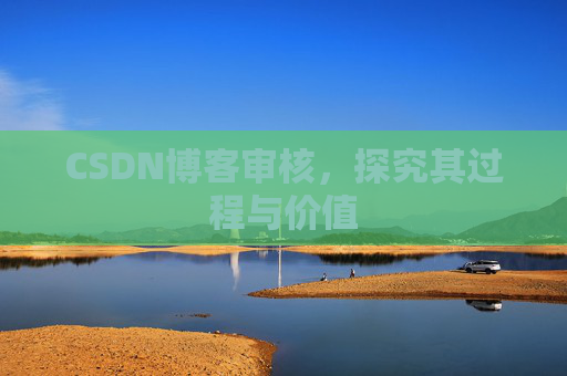 CSDN博客审核，探究其过程与价值